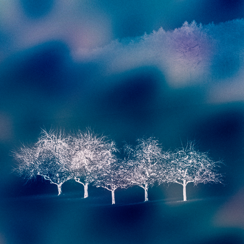 Sleep Cooperation.png