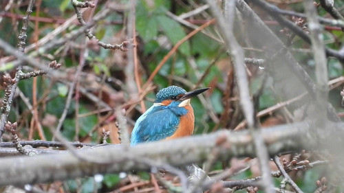 lhcjGn AKRWXHXlY.jpg