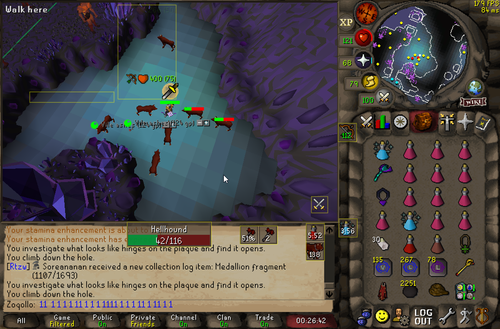 RuneLite beQ4n2rmVC.png