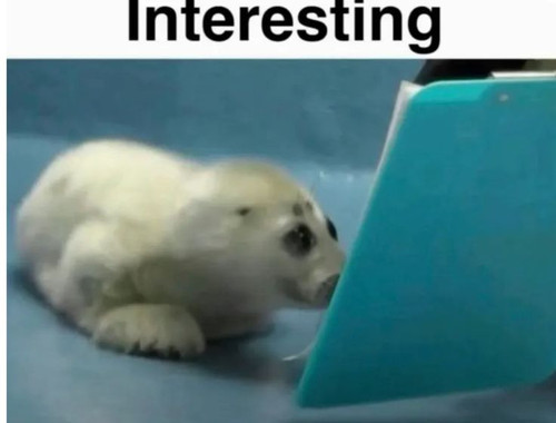  .jpg