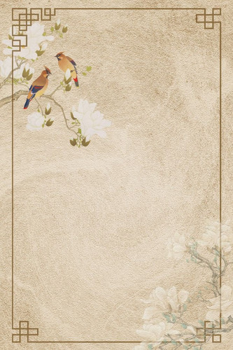 Image 1771203880867 599.jpg