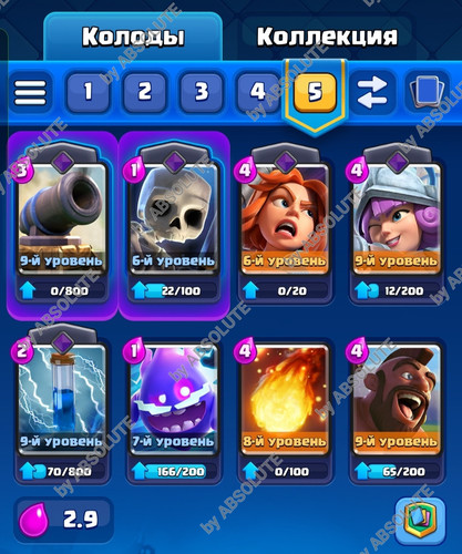 1000009237.jpg