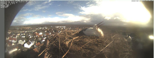 MWSnap264.jpg