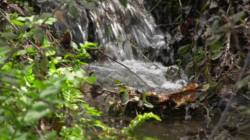 hlqYjlxqiSlO U3D.jpg