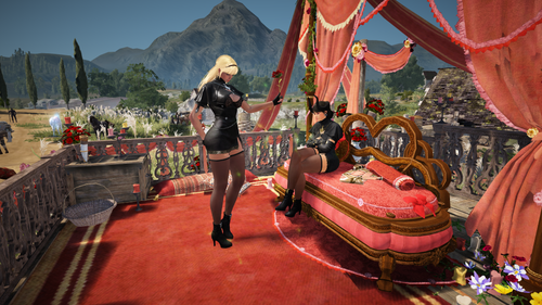 2026 02 17 337665033.png