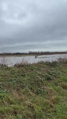 MsvUpy4cSny4X Xm.jpg