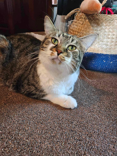 522720836 122202183386259829 4124200101386210015 n.jpg