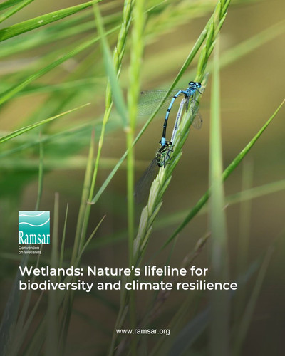 HBRtrBUWcAARVl ?format=jpg.jpg