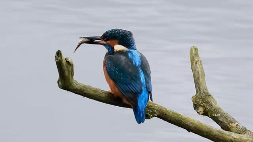 n2eAtTljbWVBd vB.jpg