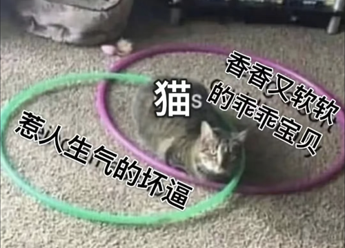 Screenshot 2025 0722 023140.png