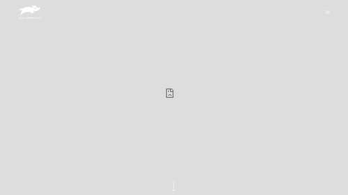02162135 1193 0444 0000 97cccb09a024.png
