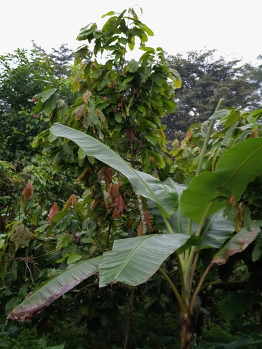 HBV 1dZbcAAa1DC?format=jpg.jpg