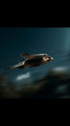 aSn2LqTzsBel7 od.jpg