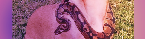 Без названия76 20260217170209.png