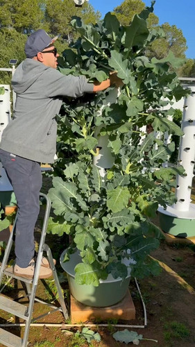 ejjeqviAN a4lMF9.jpg