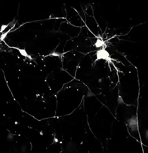 EYpqJTSR9S1bJKu .jpg