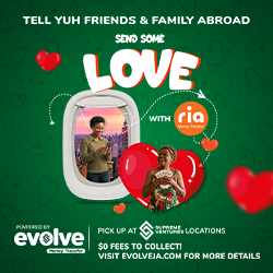 EVOLVE RIA Send Some Love 250x250.png