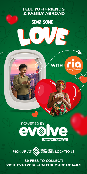 EVOLVE RIA Send Some Love 300x600.png