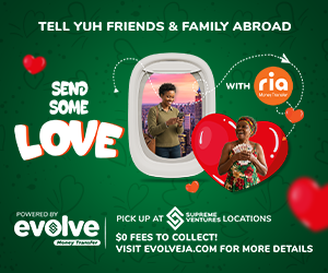 EVOLVE RIA Send Some Love 300x250.png