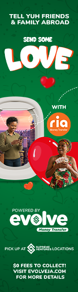 EVOLVE RIA Send Some Love160x600.png