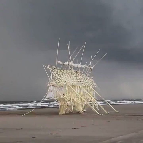 oWY g5wCagcTfpYN.jpg