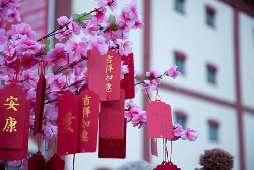 635451546 1302341981703828 1339201655735571635 n.jpg?stp=dst jpg s590x590 tt6& nc cat=104&ccb=1 7& n.jpg