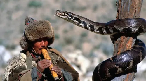 fead27c5 8f93 47ab a571 d356675c4604.webp