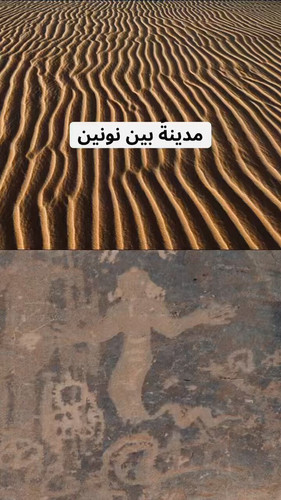 I7e8Wm Lt2c4tR T.jpg