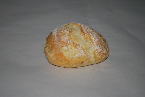 dsc 8104.jpg