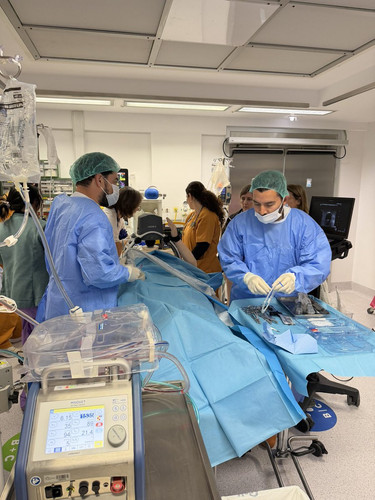 HBOH3M5a0AAlwyW?format=jpg.jpg