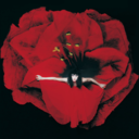 6fc50f4972f2.png