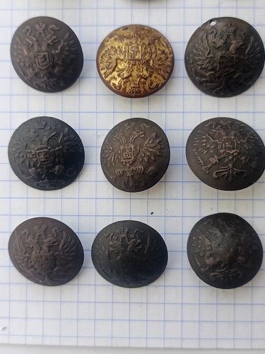 IMG 20260217 122018 560.jpg