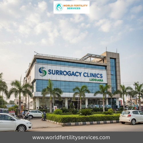 Surrogacy Clinics In Ludhiana, Punjab, High Success Rate, Cost 2026.jpg