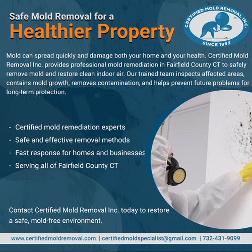 Safe Mold Removal for a Healthier Property.jpg