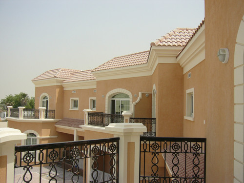 P356 1.jpg