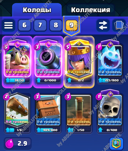 1000009246.jpg