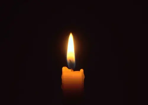 a0343e206f31.webp