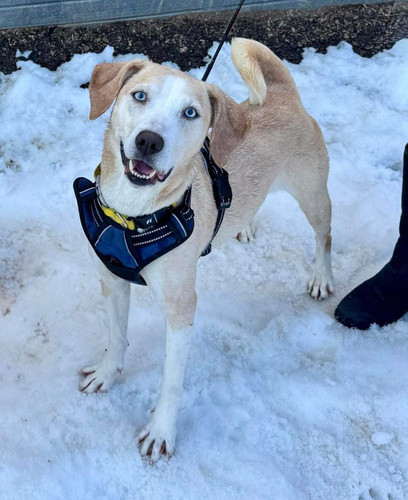 HBSa8UIXQAA vjA?format=jpg.jpg