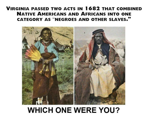 1000004504.jpg