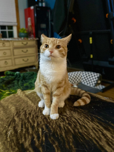 634250496 122161945946859660 421870447863200667 n.jpg