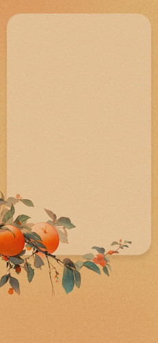 Image 1771295483495 612.jpg