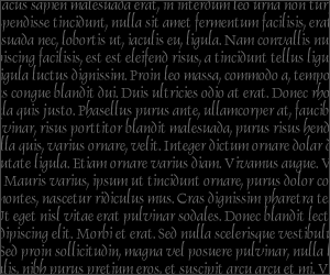 black 300x250.gif
