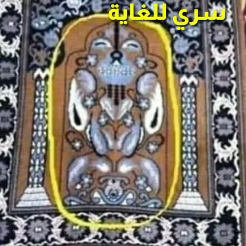 q63I9ki9vsu 2Yby.jpg