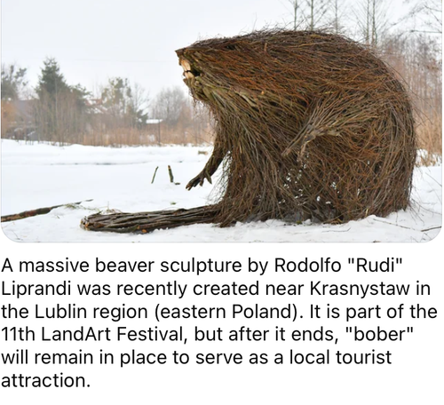 062a82bf 9300 4c46 b120 3490bba3785d ReverseSearchImage.png