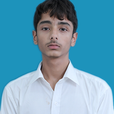 MUHAMMAD IBRAHIM SO SHAHZAD.png