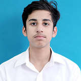 MUHAMMAD MUSTAFA AMIR.png