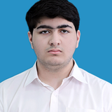 IBRAHIM FAHAD SALEEM.png