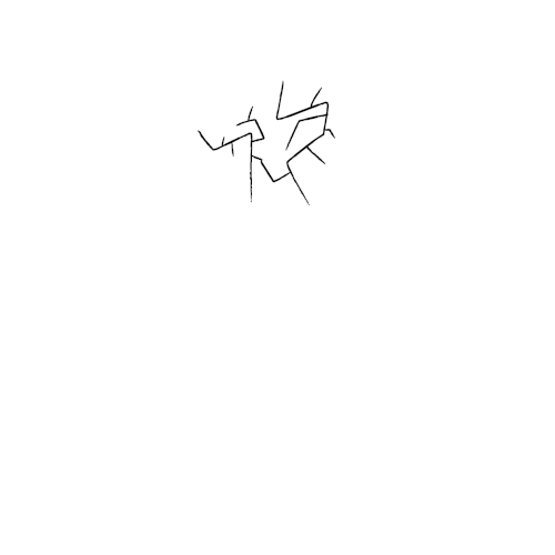 IMG 0121.gif