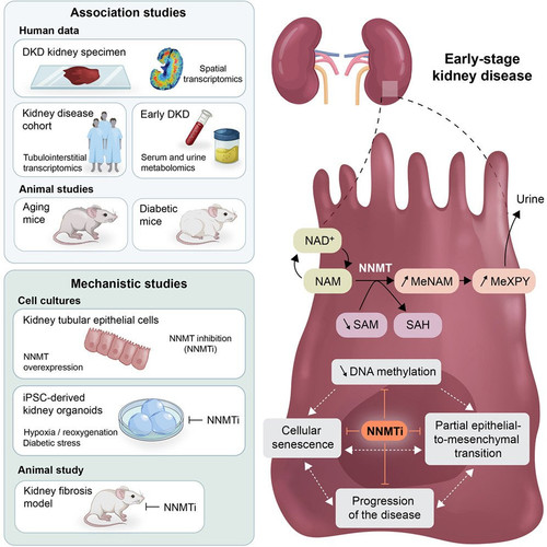 G DxgHmXUAAbJGf?format=jpg.jpg