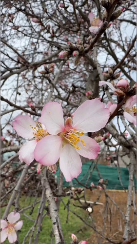 NOS8TVo0vaH 0x1k.jpg